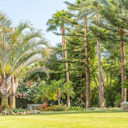 The Grand Oasis Estepona Marbella Exterior photo